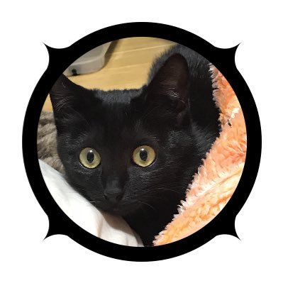 7年目のうたさんと3年目のまるさん🐈‍⬛さんのプロフィール画像