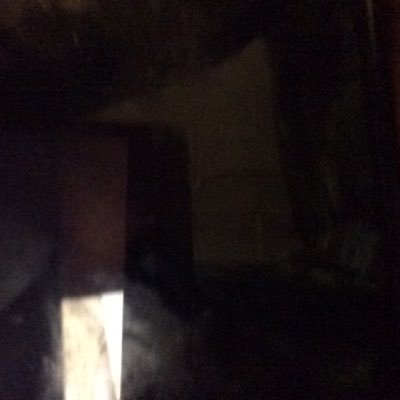 awesomelord1231's profile picture. Haha Soccer Trending Movies Music Weird Amazing Cute