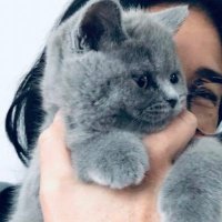 ElisabettaBucciarelli (@bettibu7) 's Twitter Profile Photo