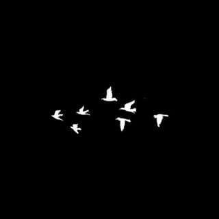 الحمدلله🎈.