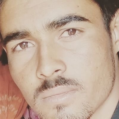 bishnoi