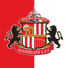 Massive fan of Sunderland afc and I love playing on my xbox one