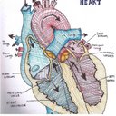 jay_derr - @jeda60327201 - Twitter