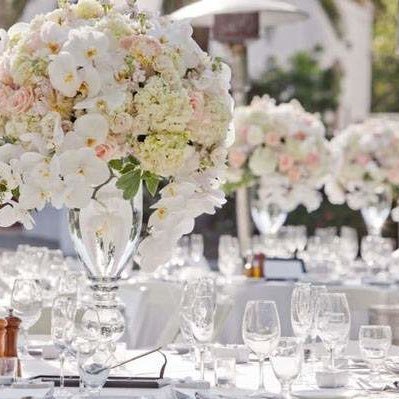 Wedding Planner and Events plannings