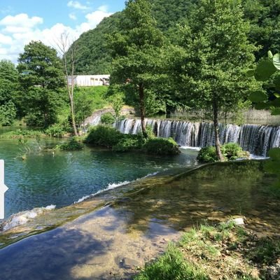 mymy980's profile picture. 