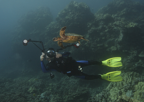 A guy with a camera roaming the world capturing the amazing sea turtle in its natural settings