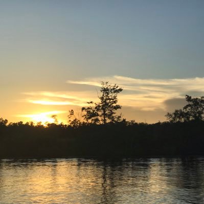 gamecocksix's profile picture. Gamecock Fan/Alumni! Retired military 30 years. Safety Director. Hunting & Boating. GO COCKS! #ForevertoThee 🤙