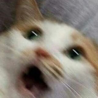 rotting_guts's profile picture. i am dying