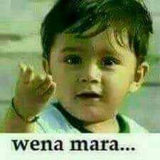 tom69557121's profile picture. 