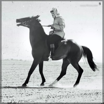 noura_28m's profile picture. سبحان الله وبحمده , سبحان الله العظيم __ اللهم لاتتوفنا إلا وأنت راضيٍ عنا