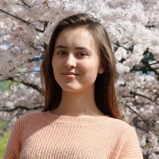 aaneitchik's profile picture. Frontend Developer 🐎