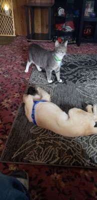 Drewoverby1's profile picture. 