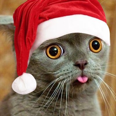 steinh's profile picture. 