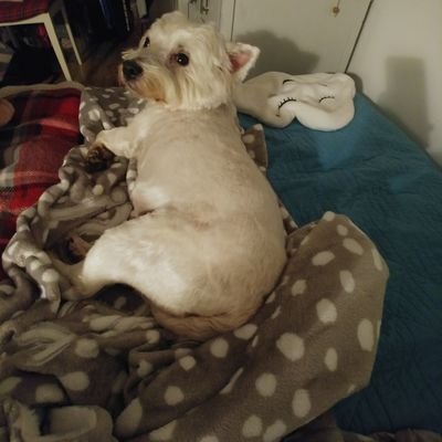 HeapCath's profile picture. 