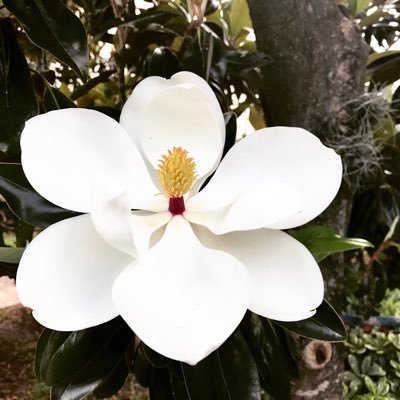 gingertravel4's profile picture. 