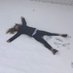 Louisa (@louisaliddicott) Twitter profile photo Louisa (@louisaliddicott) Twitter profile photo