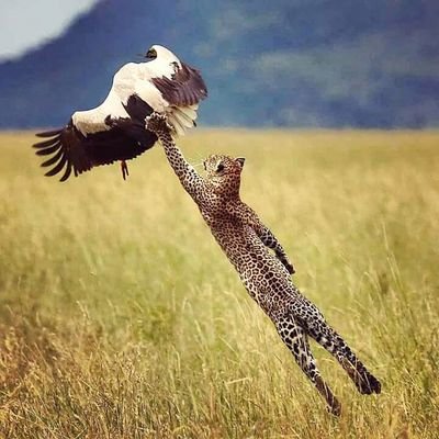 BenAzis1's profile picture. 