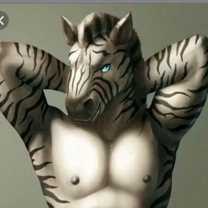 Gay Furry Zebra Porn - Furry Porn Gay yiff (@and_yiff) | Twitter