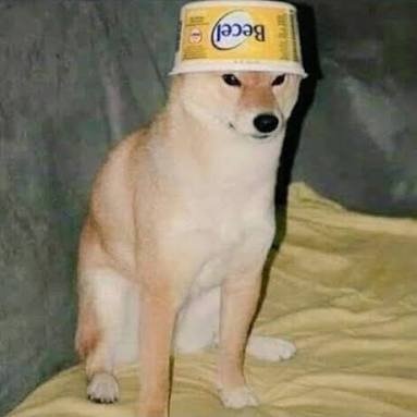 CEfrenguerrero's profile picture. 