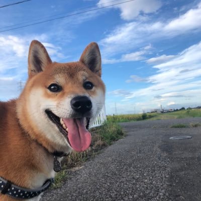 仮病のメロン号 Ggbqbbk0yx9duct Twitter