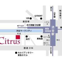 麻雀×BAR Citrus（シトラス）(@citrus05059920) 's Twitter Profile Photo