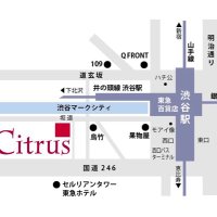 麻雀×BAR   Citrus（シトラス） (@citrus05059920) Twitter profile photo