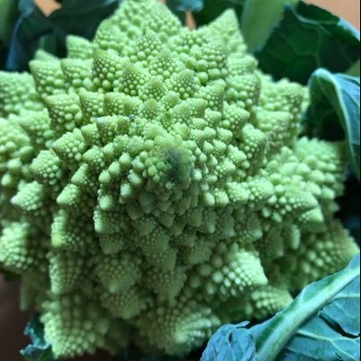 chizuruelena's profile picture. 初セカオワ❗️何でもやってみたいお年頃