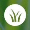 PurLawn (@lawnpur) 's Twitter Profile