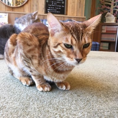 8Pl130e64YfXXVD's profile picture. 