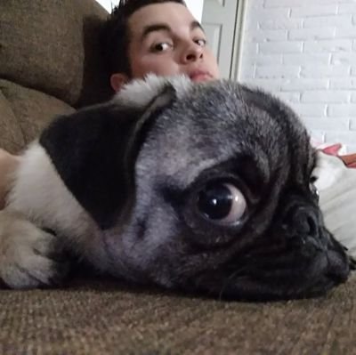 Hetorsantimetal's profile picture. Médico malhumorado, amante de los autos, pseudogamer y alguien buscándole el sentido a esta existencia.