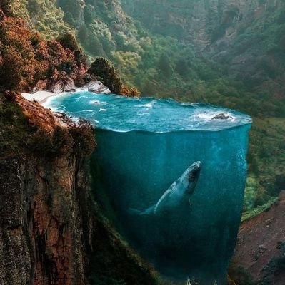 yurongbin's profile picture. 我们时时刻刻都在期望过简单平凡的生活，但生活却让我们时时刻刻都不简单平凡。