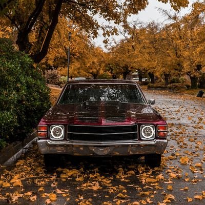 freshpowder08's profile picture. Life's a bitch and then you die. Jilda❤