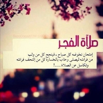 بدويه وافتخر بابوي لامتلك سياره فاخره وضد الهياط بيتنا من الطين اتحدث الانقليزيه وقريبا الصينيه 😍😍