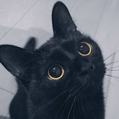 ビョンウソク、キムヘユン、アンヒョソプ、イジョンソク、ソンガン、キムヨンデ…どんどん好きな人が増えていきます❤️ 「ソンジェ背負って走れ」を思いっきり背負ってます🥰どうぞよろしくお願いします🤍無言フォロー失礼します🤍