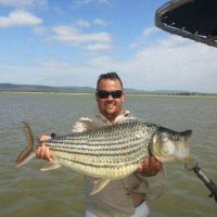 TigerHunter (@tigerhuntersa) 's Twitter Profile