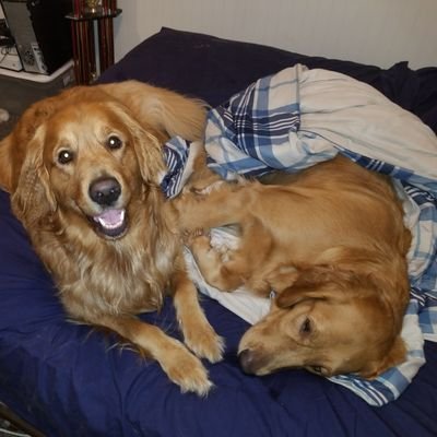 Scottyp773's profile picture. 