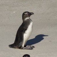 renaissance (@enlairenlair) 's Twitter Profile Photo