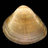 berbigao_frito's profile image