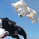 Jason Cann - @jason777cannn - Twitter