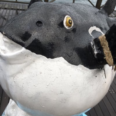 いおさんのプロフィール画像