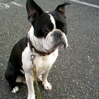 井上 勇人 (@348tb) 's Twitter Profile Photo