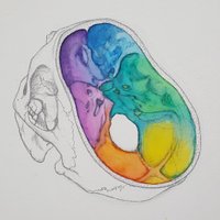 Victoria (@vm_illustration) 's Twitter Profile Photo Victoria (@vm_illustration) 's Twitter Profile Photo