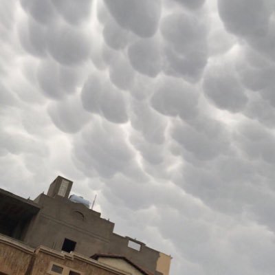 112233onco's profile picture. 