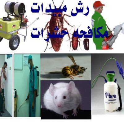 شركه تنظيف شامله متخصصه عروض خصومات التزام ثقه دقه تنظيف مع غسيل شقق فلل كنب موكيت سجاد مساجد خزانات 0502712885 نقل عفش. مكافحه حشرات