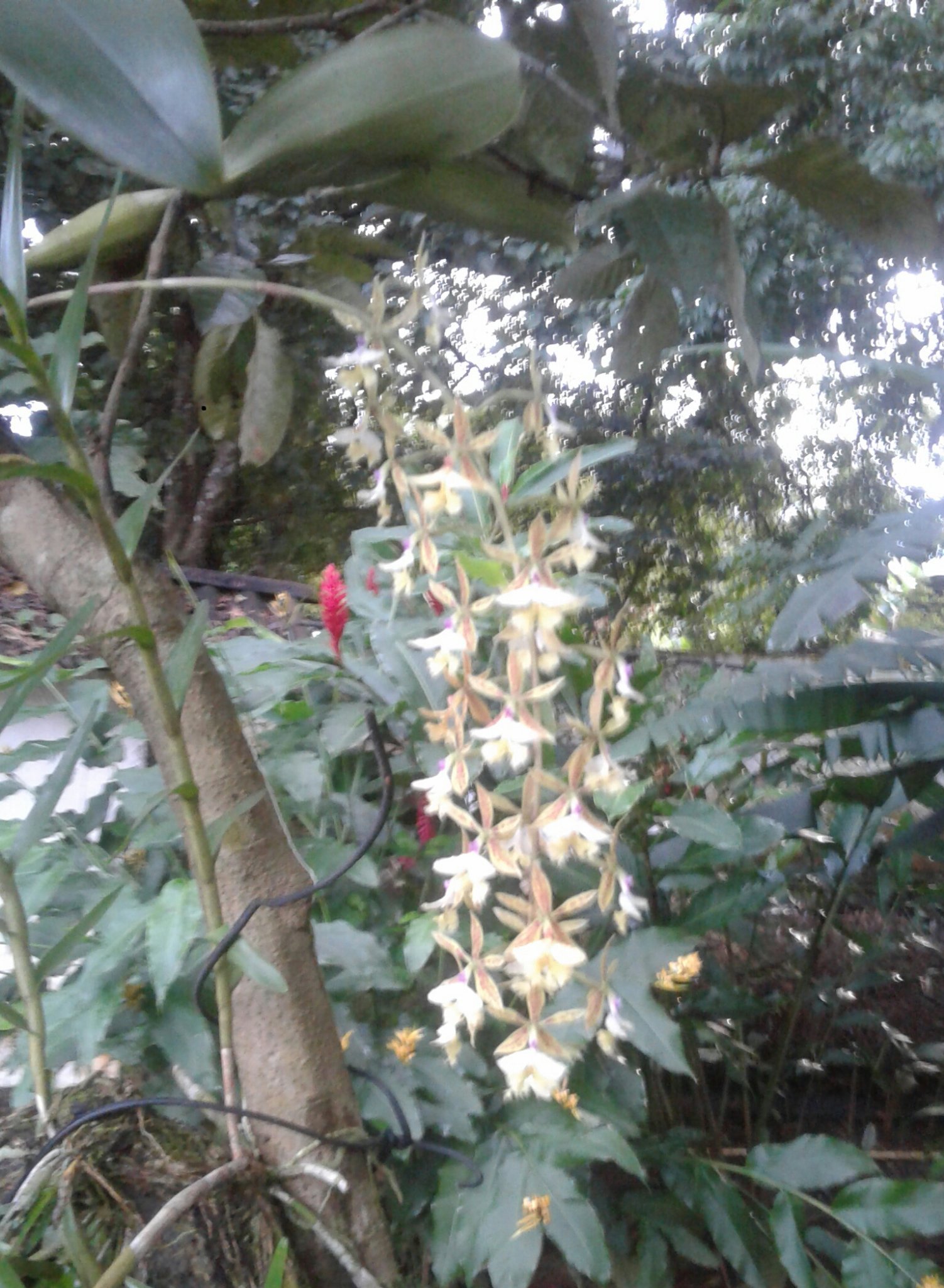 minervadegonzal's profile picture. 