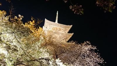 restart601's profile picture. 暑いのきらい