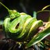 python-podcast (@podcastpython) Twitter profile photo python-podcast (@podcastpython) Twitter profile photo