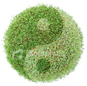 CheapNutritionP's profile picture. We sell all Herbalife products for 25% off plus FREE shipping. Come by and check us out. http://t.co/vbsua1SfNP