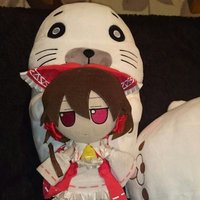 milo (@milo73129362) 's Twitter Profile
