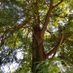 Preserve Burnet Woods (@pbw_burnetwoods) Twitter profile photo Preserve Burnet Woods (@pbw_burnetwoods) Twitter profile photo